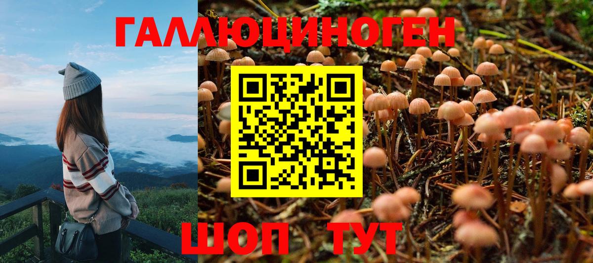 Псилоцибиновые грибы мицелий  Вход с VPN  Артём 
